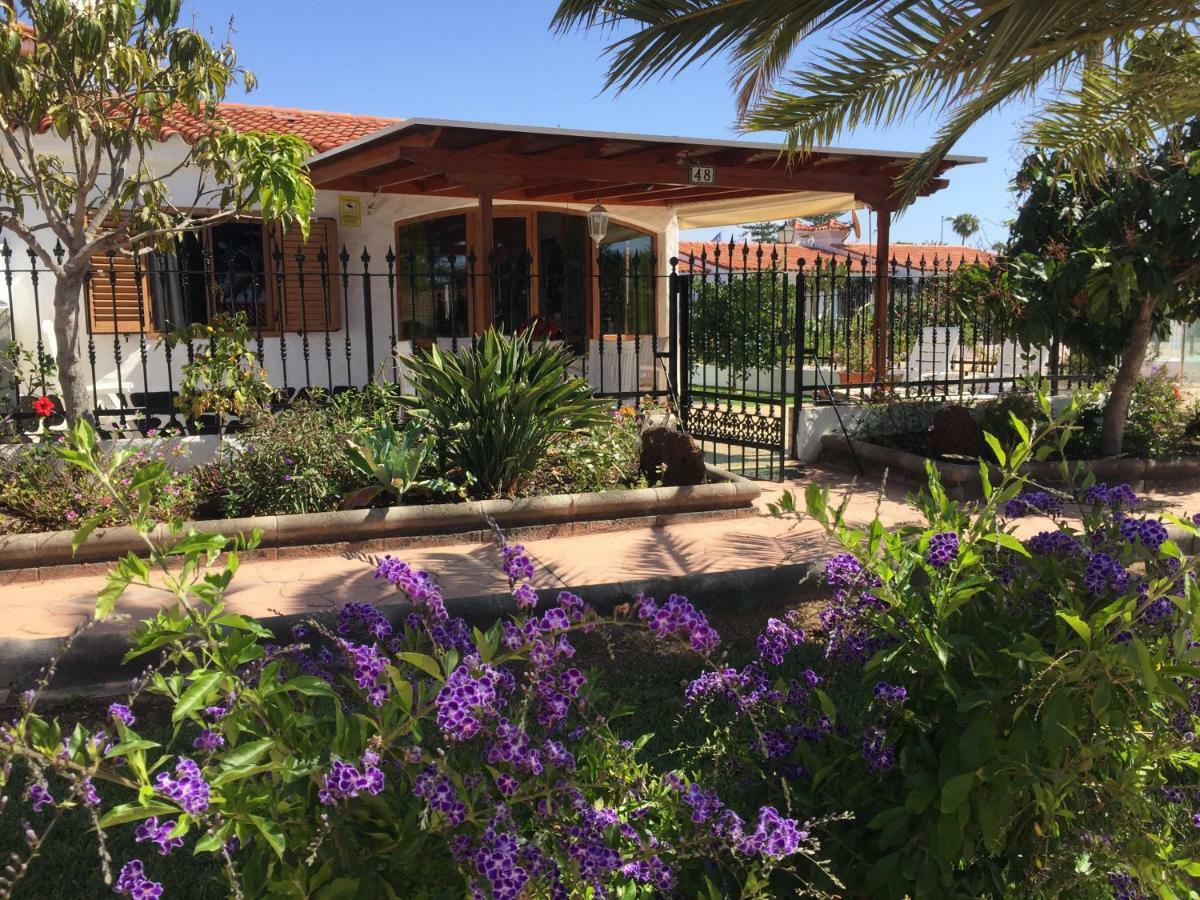 Los Porches Rosario Playa del Ingles  Exterior foto